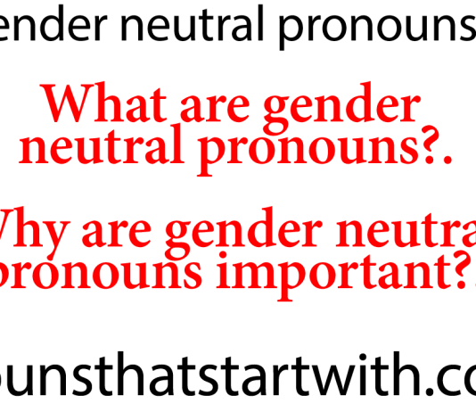 Gender Neutral Pronouns